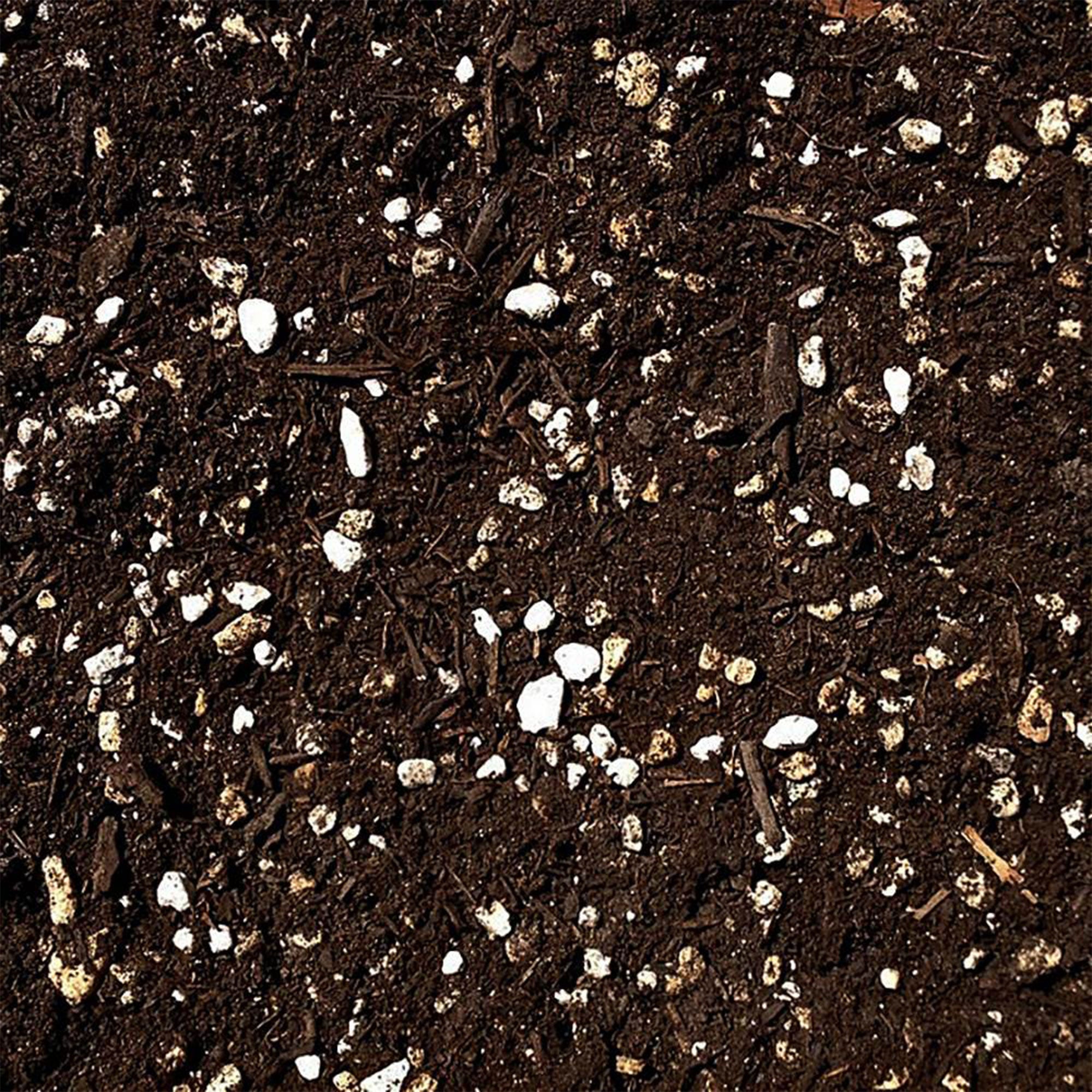 SunBlaster Mini Greenhouse Kit + GAIA GREEN Plant Food + Roots Organics Soil