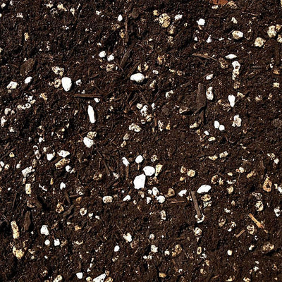 SunBlaster Mini Greenhouse Kit + GAIA GREEN Plant Food + Roots Organics Soil