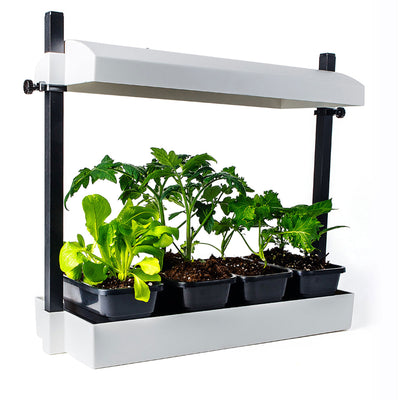 SunBlaster Light Garden + GAIA GREEN Plant Food + Roots Organics Formula 707