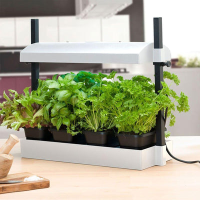 SunBlaster Light Garden + GAIA GREEN Plant Food + Roots Organics Formula 707