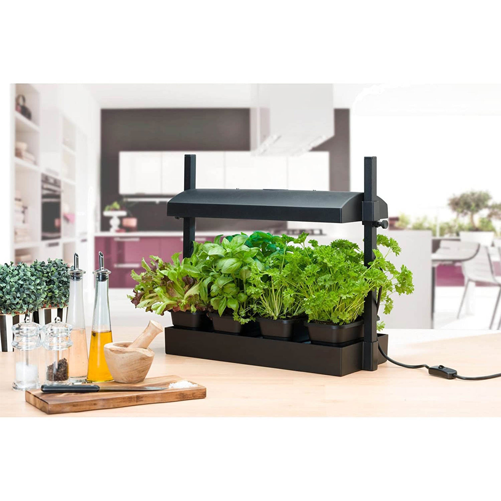 SunBlaster Light Kit + GAIA GREEN All Purpose Plant Food + Roots Organic Formula - VMInnovations