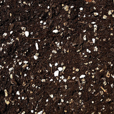 SunBlaster Light Kit + GAIA GREEN All Purpose Plant Food + Roots Organic Formula - VMInnovations