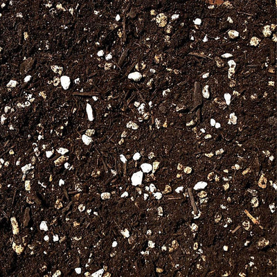 SunBlaster Light Kit + GAIA GREEN All Purpose Plant Food + Roots Organic Formula