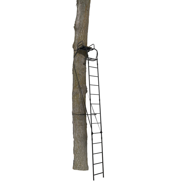Big Game The Warrior Pro 1 Person Deer Hunting Ladder Climbing Tree Stand, Black - VMInnovations