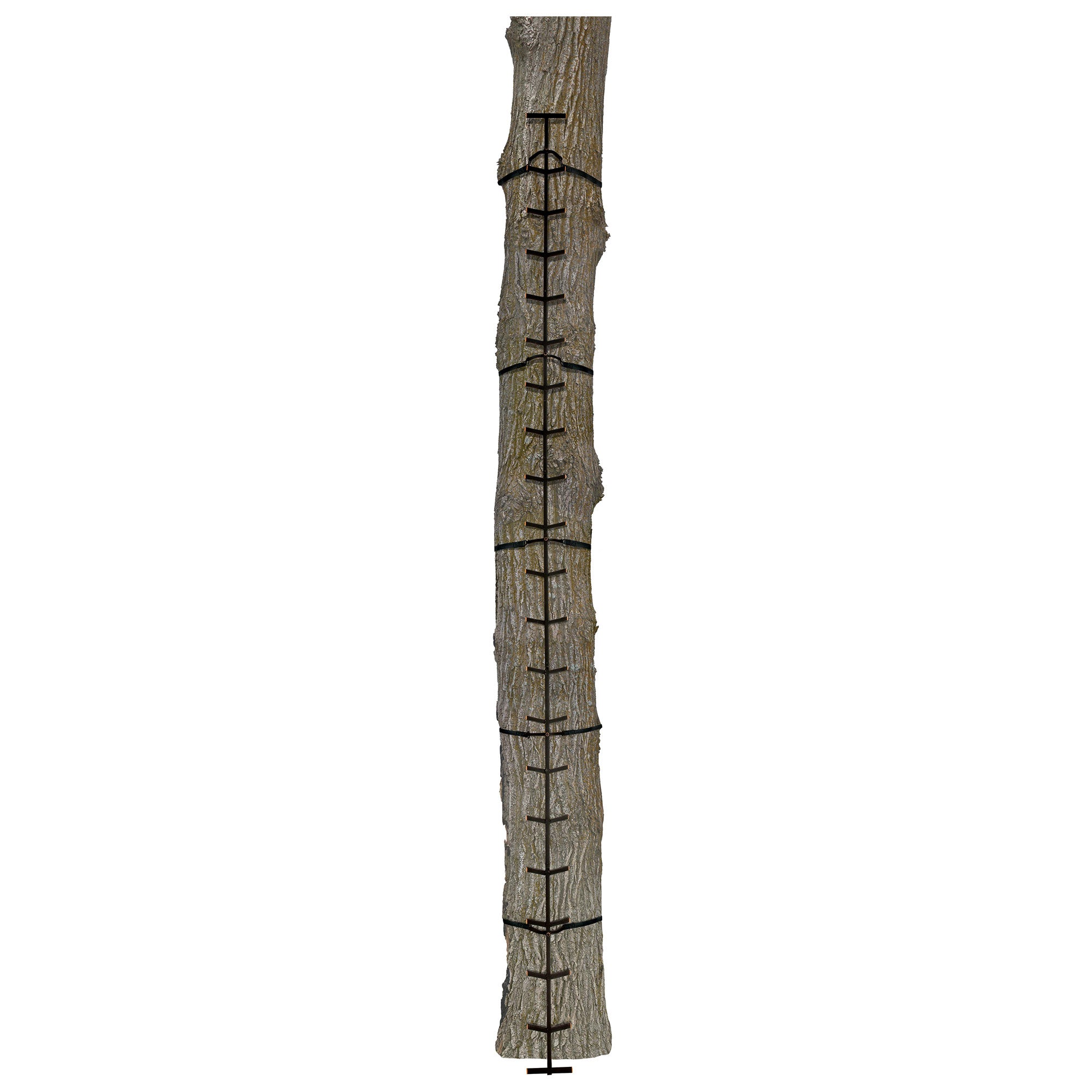 Muddy Outdoors Quick Stick XL Climbing Stick w/Powder Coated Finish, Black(Used) - VMInnovations