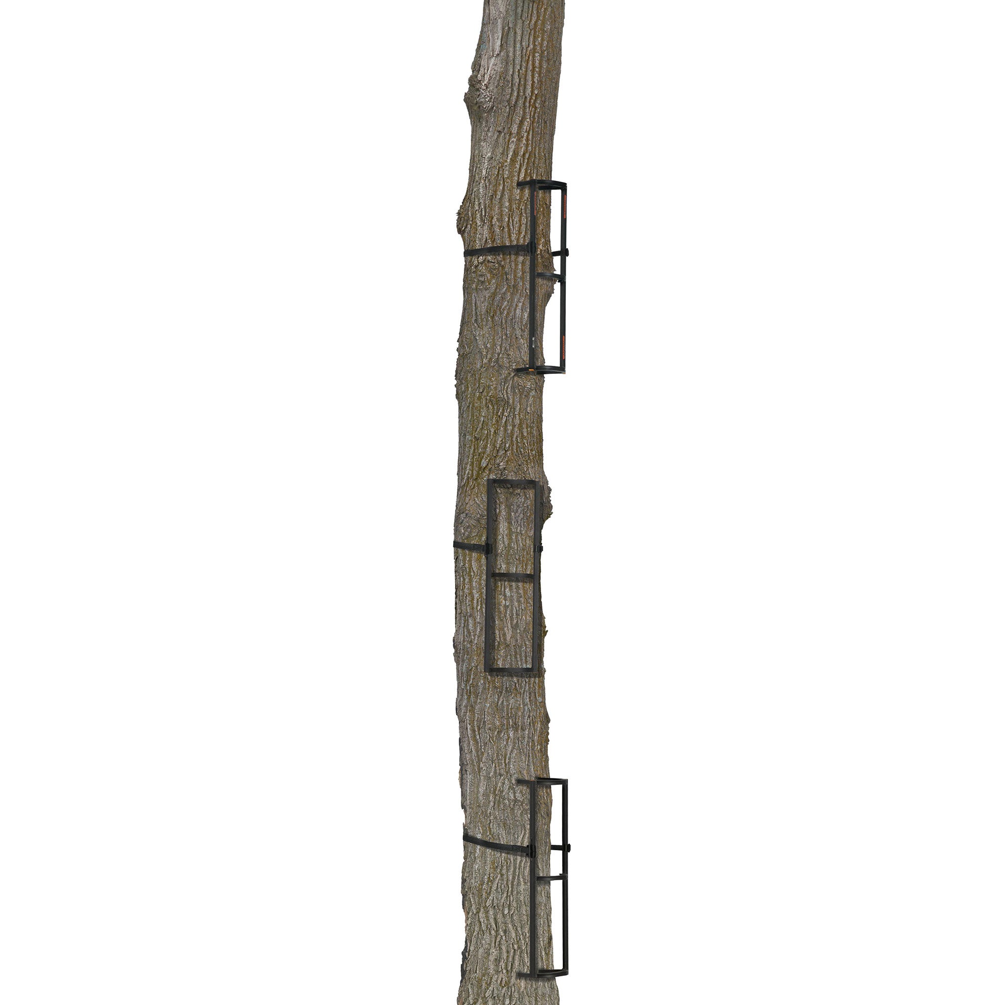 Muddy Stagger Steps, Tree Climbing Hunting Gear Tree Stand Accessories, 3 Pack - VMInnovations