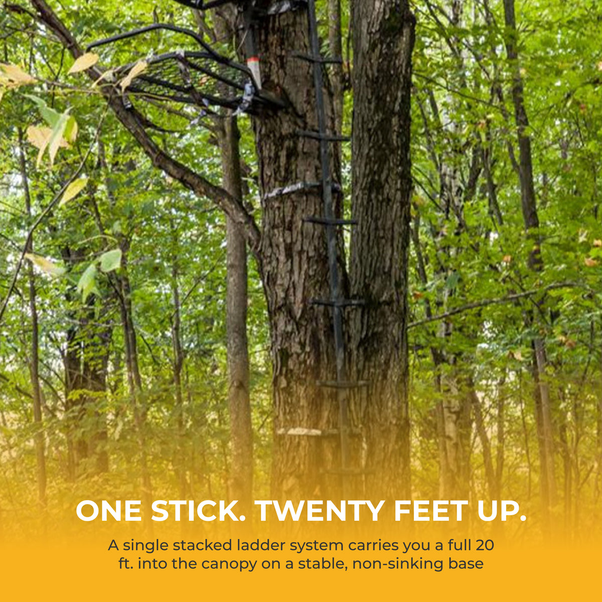 Hawk Traction Climbing Stick, 20' Tree Climbing Ladder Hunting Gear, Extra Grip