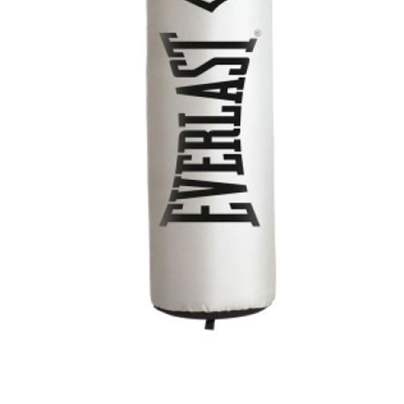 Everlast Single Station 100 Pound Punching Bag Stand and Nevatear Heavy Bag Kit