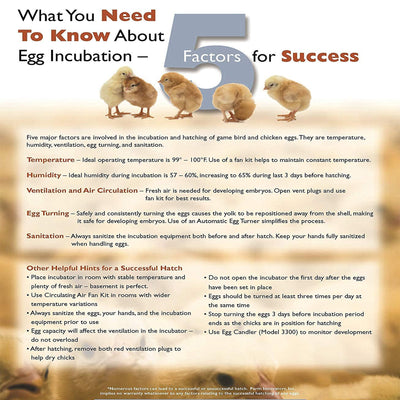 Farm Innovators 40W Digital Circulated Air Incubator for Up to 4 Eggs (Open Box) - VMInnovations