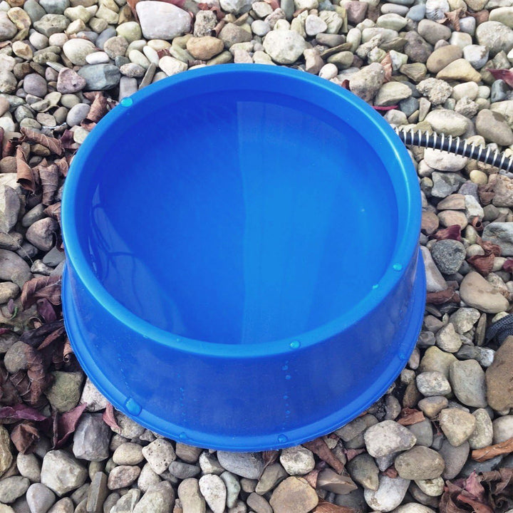 Farm Innovators Heated Pet Bowl w/Anti Chew Cord for All Breed Sizes (Open Box)