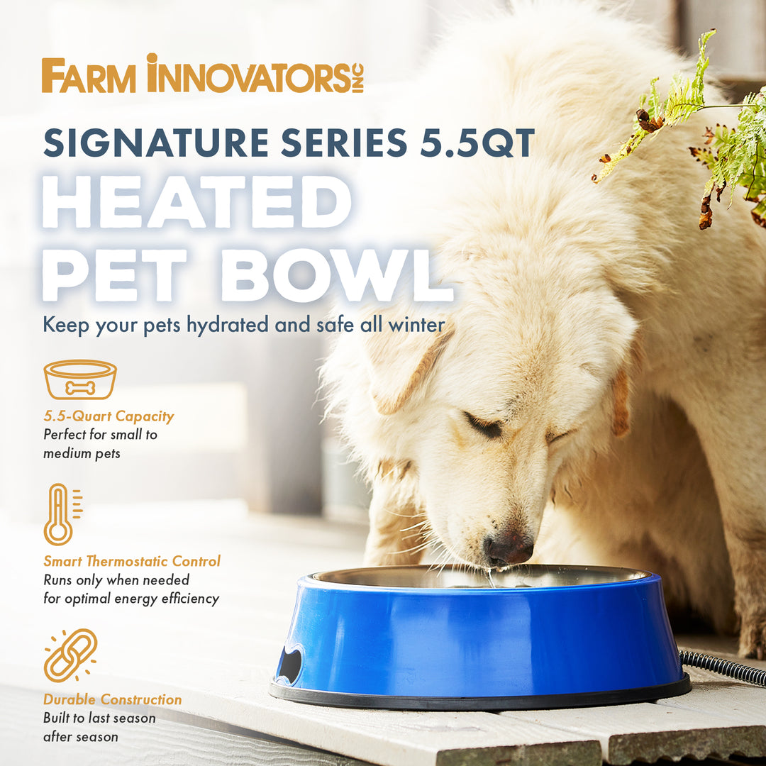Farm Innovators 5.5 Quart Heated Pet Water Bowl w/Stainless Steel Insert, Blue