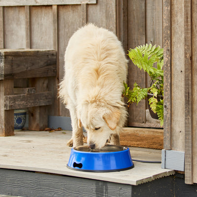 Farm Innovators 5.5 Quart Heated Water Bowl w/Stainless Insert, Blue (Open Box)