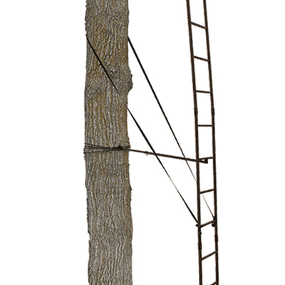 Big Game Warrior DXT 17' Portable Hunting Outside Tree Stand Ladder (2 Pack) - VMInnovations