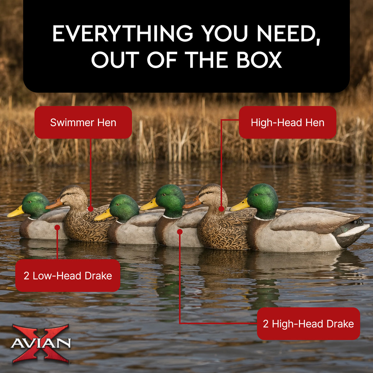 Avian X Top Flight Open Water Mallards Decoys, Ultra Realistic Floating, 6 Pack