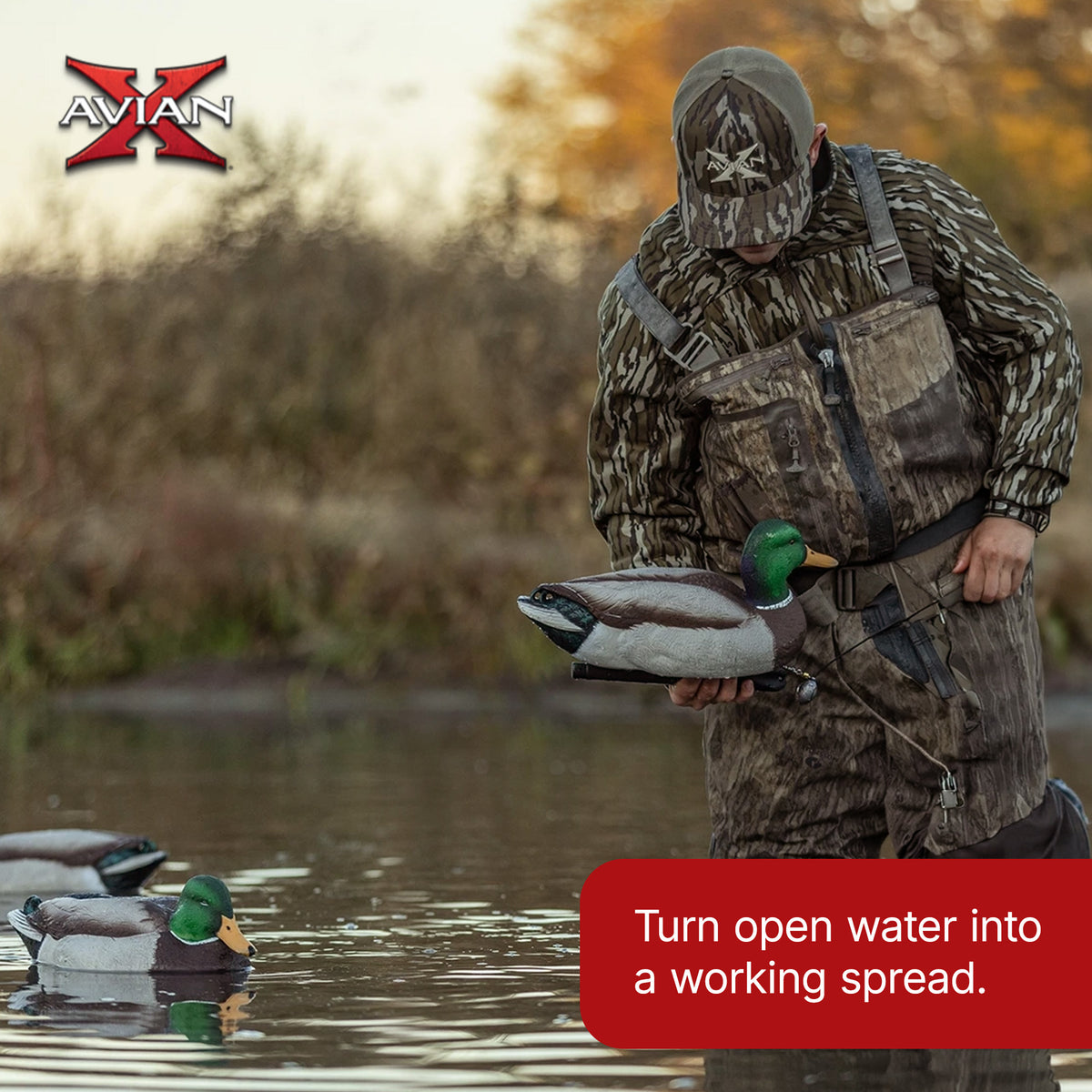 Avian X Top Flight Open Water Mallards Decoys, Ultra Realistic Floating, 6 Pack