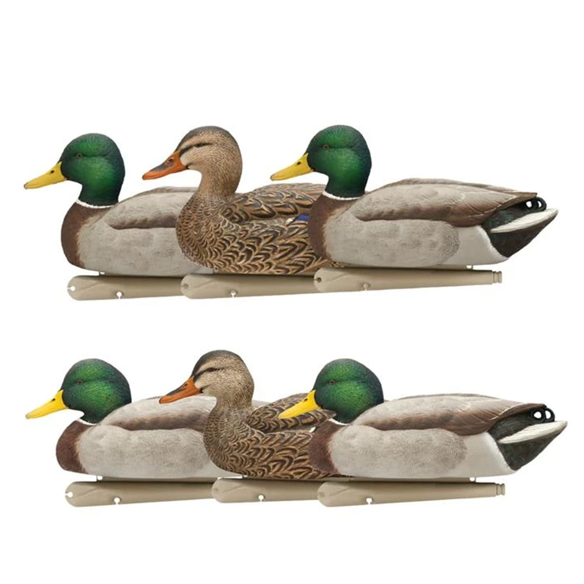 Avian X Top Flight Open Water Mallards Decoys, Ultra Realistic Floating, 6 Pack