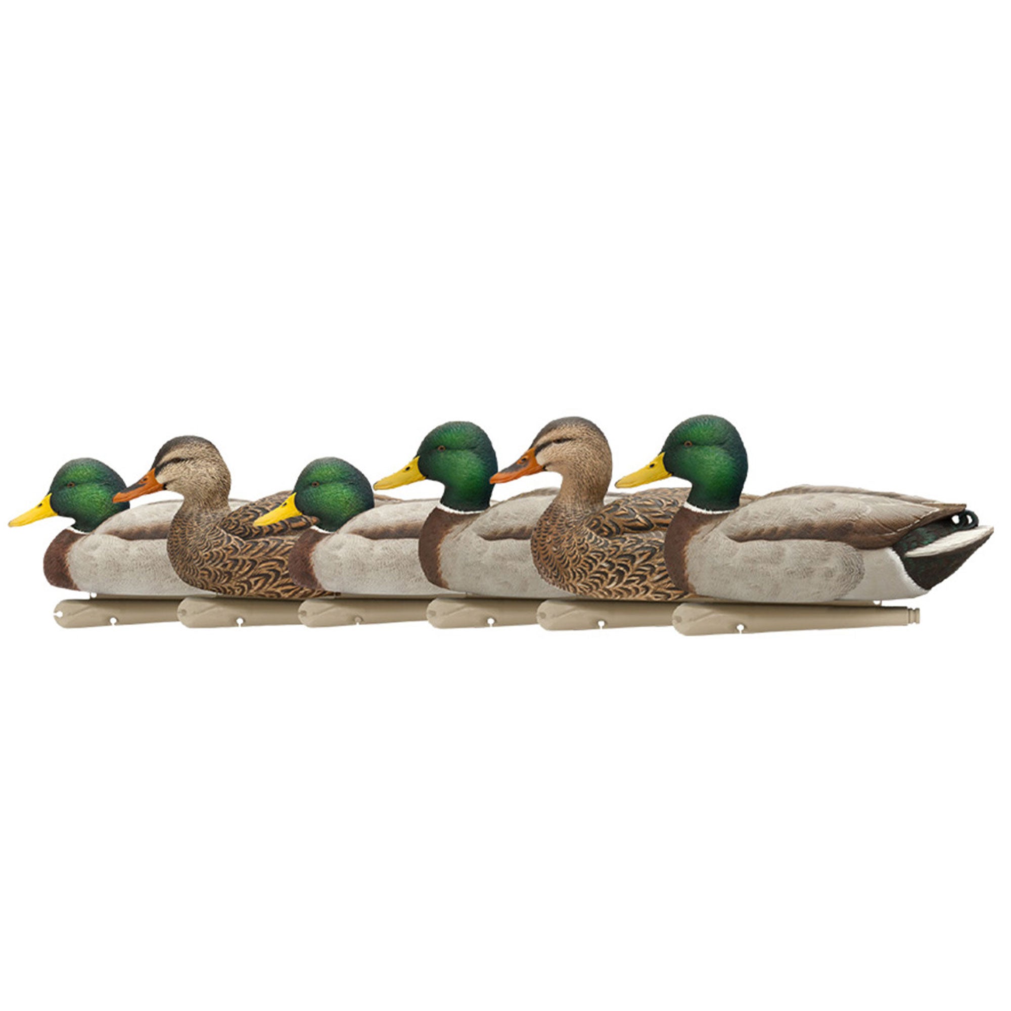 Avian X Open Water Mallards Decoys, Ultra Realistic Floating, 6pk (Used) - VMInnovations