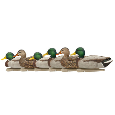 Avian X Open Water Mallards Decoys, Ultra Realistic Floating, 6pk (Used) - VMInnovations