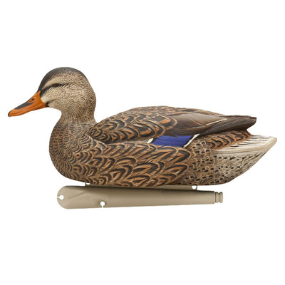 Avian X Top Flight Open Water Mallards Decoys, Ultra Realistic Floating, 6 Pack