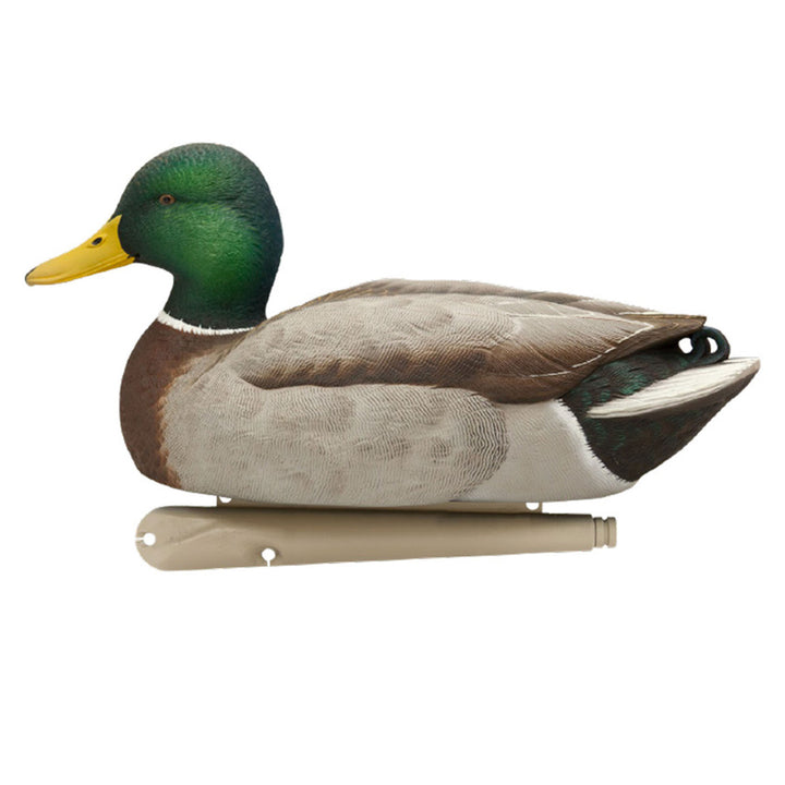 Avian X Top Flight Open Water Mallards Decoys, Ultra Realistic Floating, 6 Pack