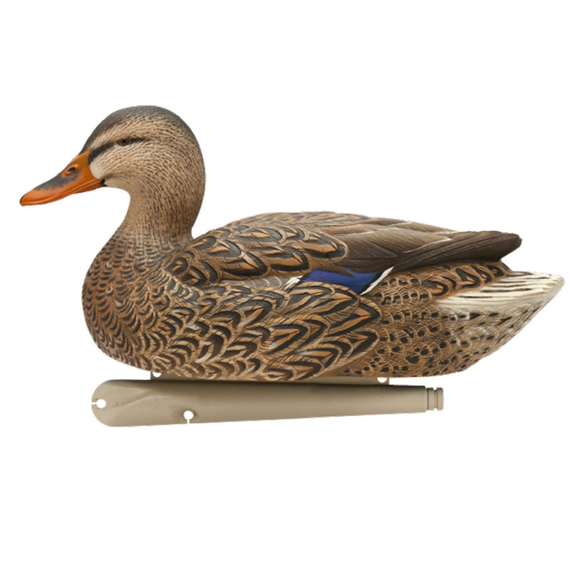 Avian X Top Flight Open Water Mallards Decoys, Ultra Realistic Floating, 6 Pack