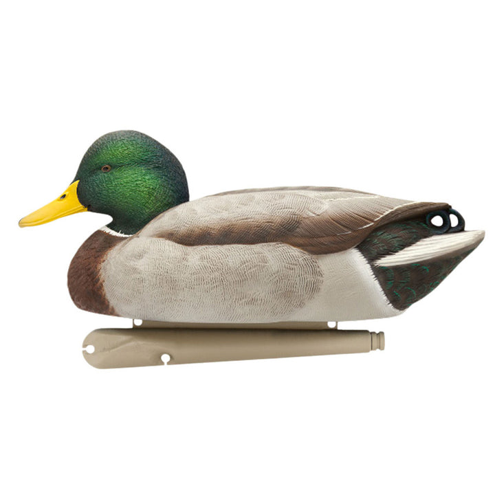 Avian X Open Water Mallards Decoys, Ultra Realistic Floating, 6pk (Used)