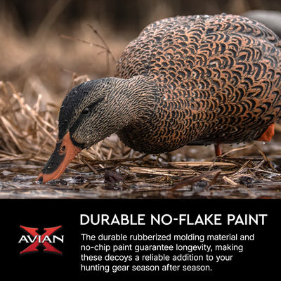 Avian X AXP Full Body Mallards Decoy, Ultra Realistic and Wind Activated, 6 Pack