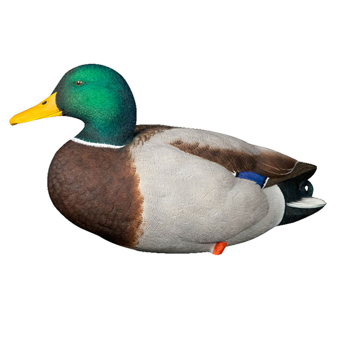 Avian X AXP Full Body Mallards Decoy, Ultra Realistic and Wind Activated, 6 Pack