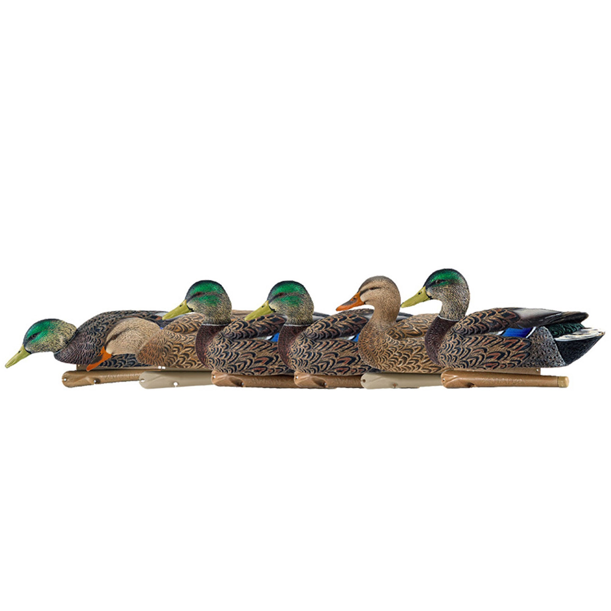 Avian X Early Season Mallard Duck Realistic Decoys, Multicolor, 6pk (Open Box) - VMInnovations