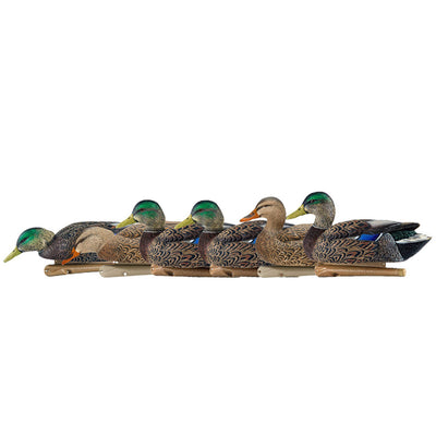 Avian X Early Season Mallard Duck Realistic Decoys, Multicolor, 6pk (Open Box)