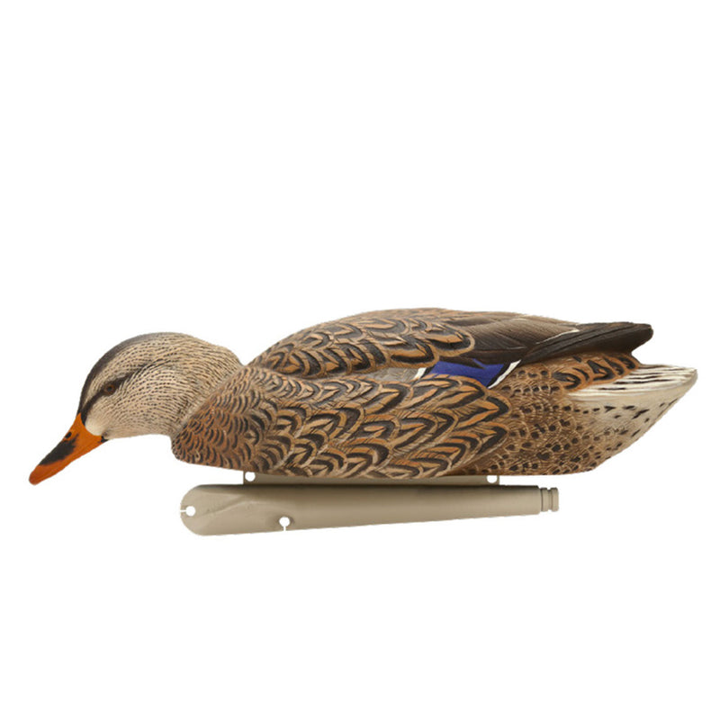 Avian X Topflight Early Season Mallard Duck Realistic Decoys, Multicolor, 6 Pack