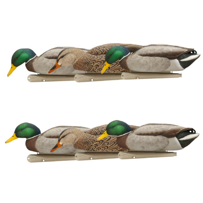 Avian X Topflight Backwater Mallards Decoys, Ultra Realistic Floating, 6 Pack