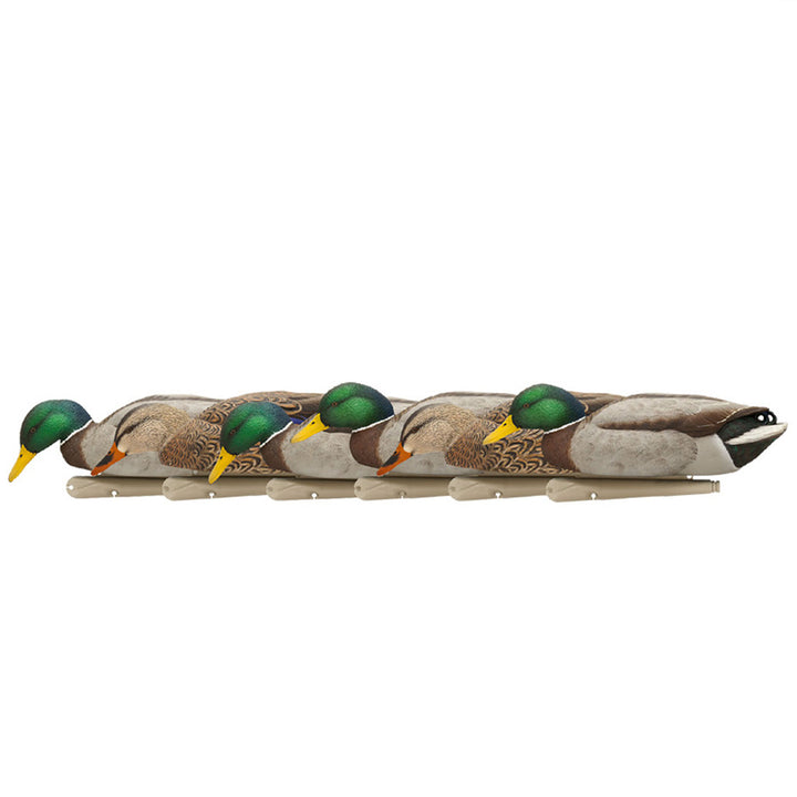 Avian X Topflight Backwater Mallards Decoys, Ultra Realistic Floating, 6 Pack