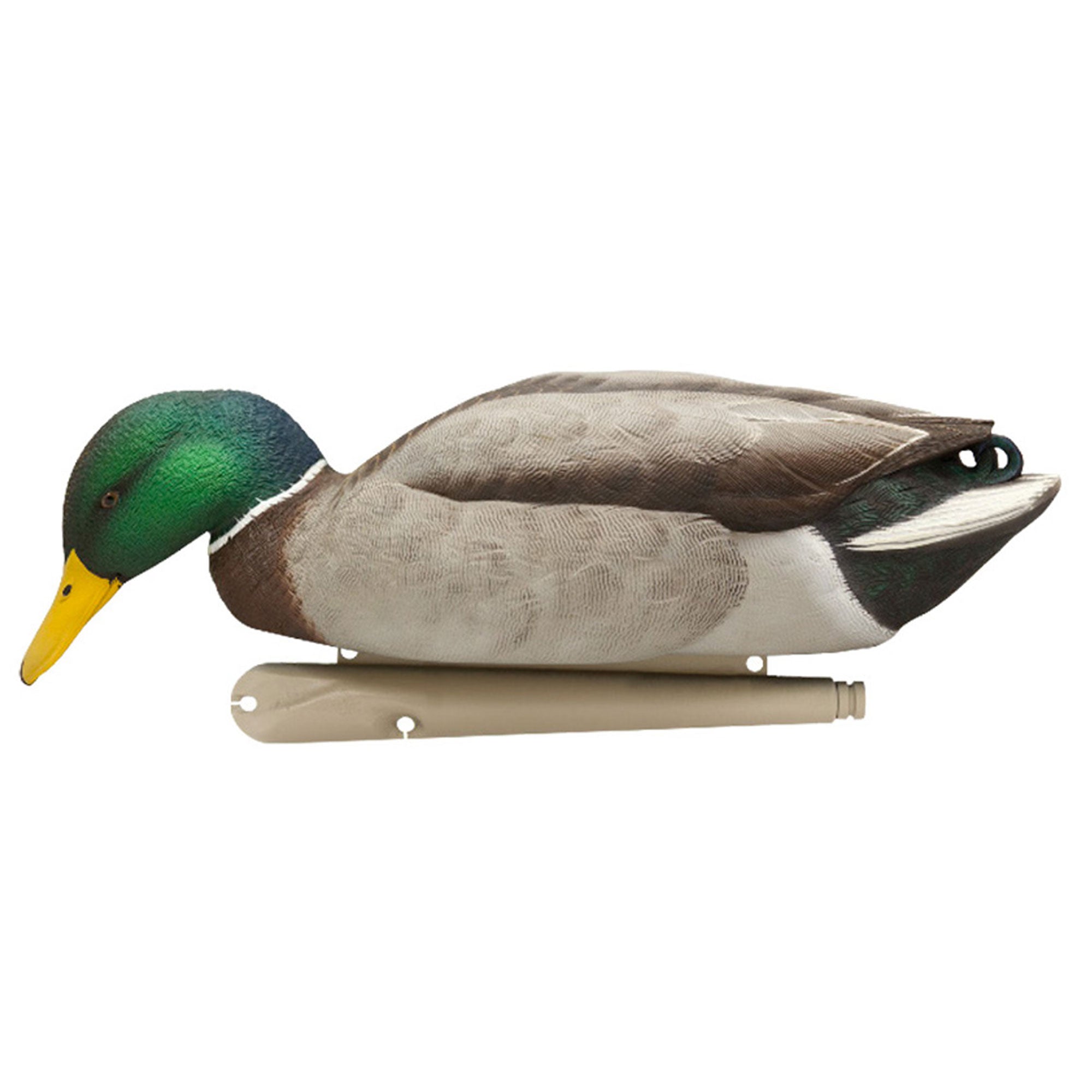 Avian X Topflight Backwater Mallards Decoys, Ultra Realistic Floating, 12 Pack