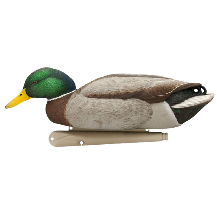 Avian X Topflight Backwater Mallards Decoys, Ultra Realistic Floating, 6 Pack