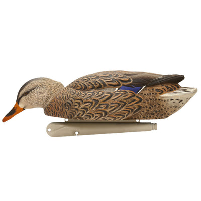 Avian X Topflight Backwater Mallards Decoys, Ultra Realistic Floating, 6 Pack