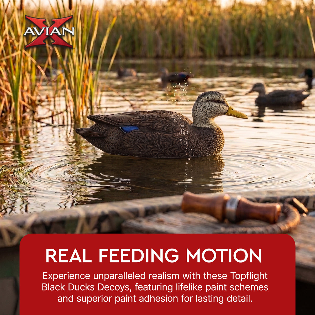 Avian X Topflight Black Ducks Decoys with Flocked Bodies, Realistic Paint Scheme