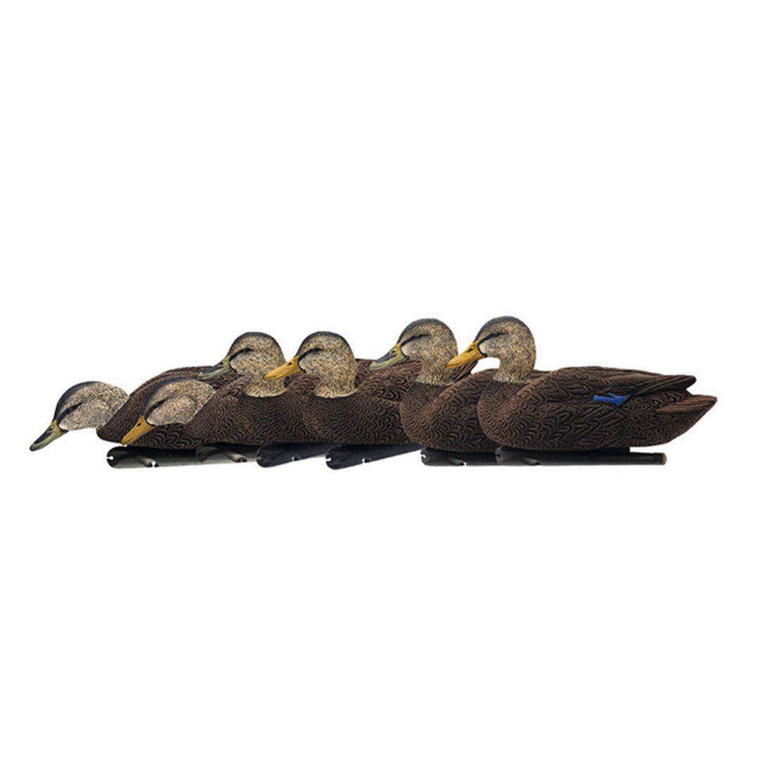 Avian X Black Ducks Decoys w/Flocked Bodies, Realistic Paint Scheme (Open Box)