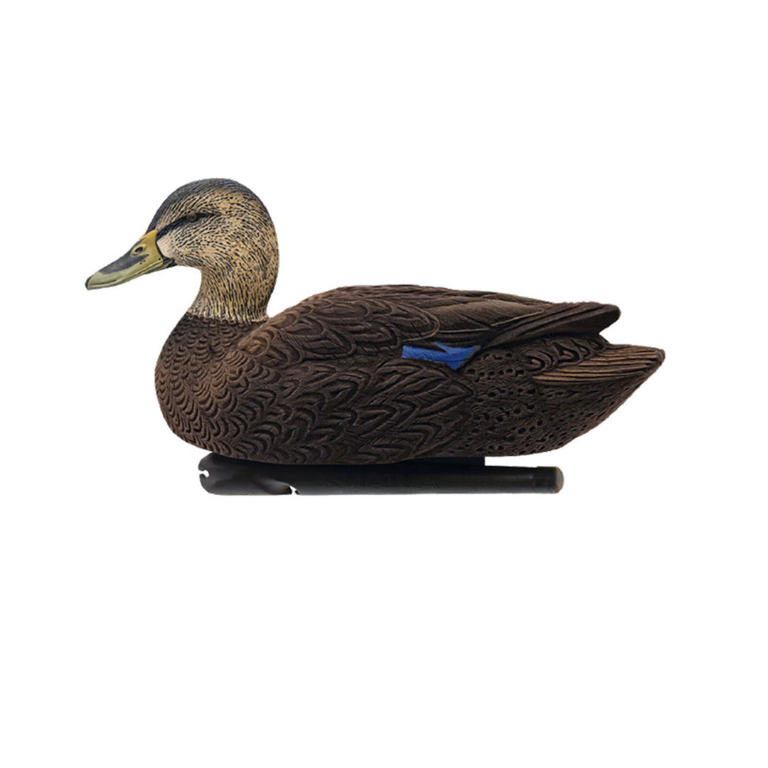 Avian X Topflight Black Ducks Decoys with Flocked Bodies, Realistic Paint Scheme