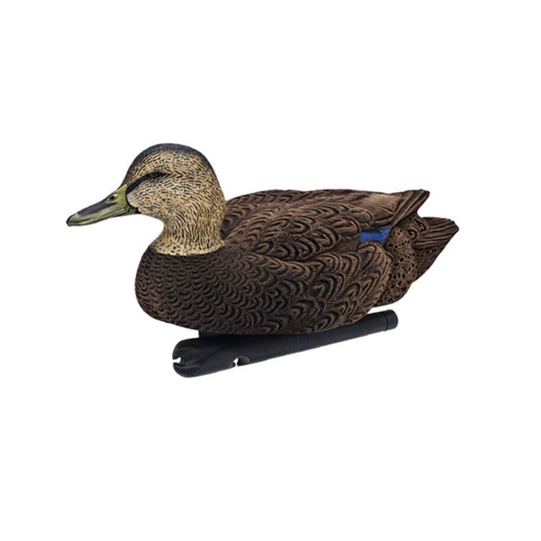 Avian X Black Ducks Decoys w/Flocked Bodies, Realistic Paint Scheme (Open Box)