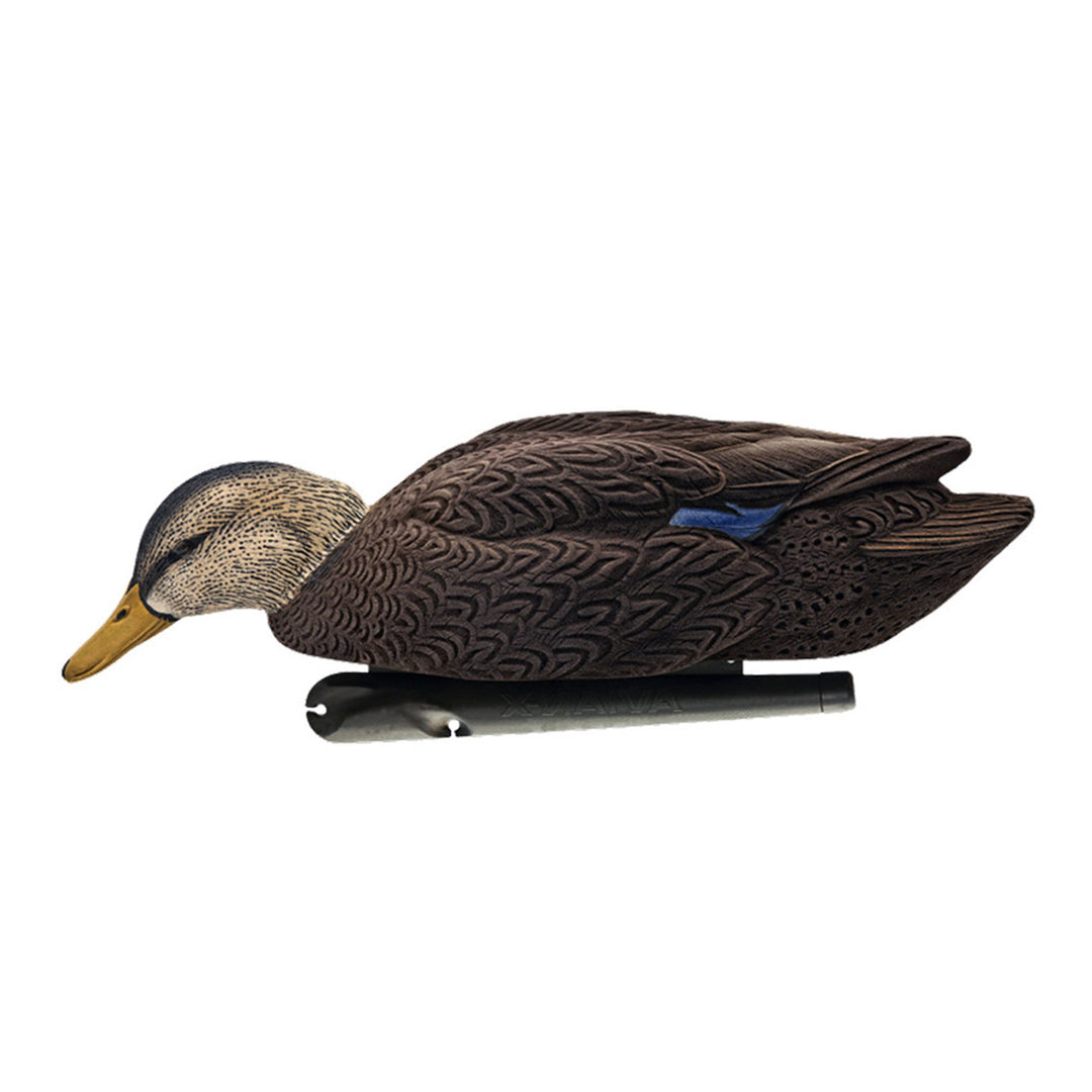 Avian X Black Ducks Decoys w/Flocked Bodies, Realistic Paint Scheme (Open Box)