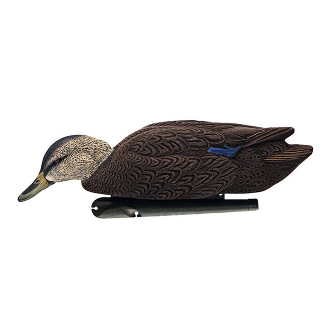 Avian X Black Ducks Decoys w/Flocked Bodies, Realistic Paint Scheme (Open Box)