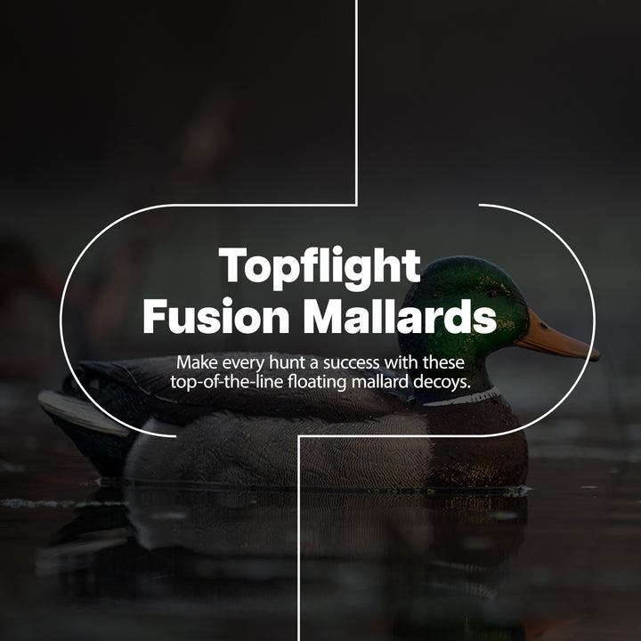 Avian X Topflight Realistic Floating Fusion Mallard Decoy Set, 6 Pack (Open Box)