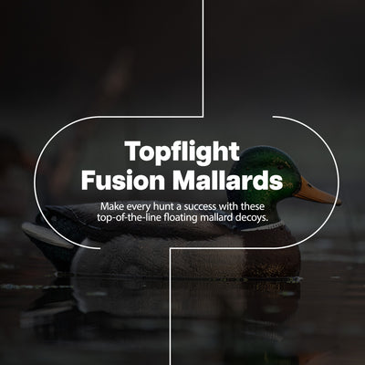 Avian X Topflight Fusion Mallards and Top Flight Open Water Mallards Decoys - VMInnovations
