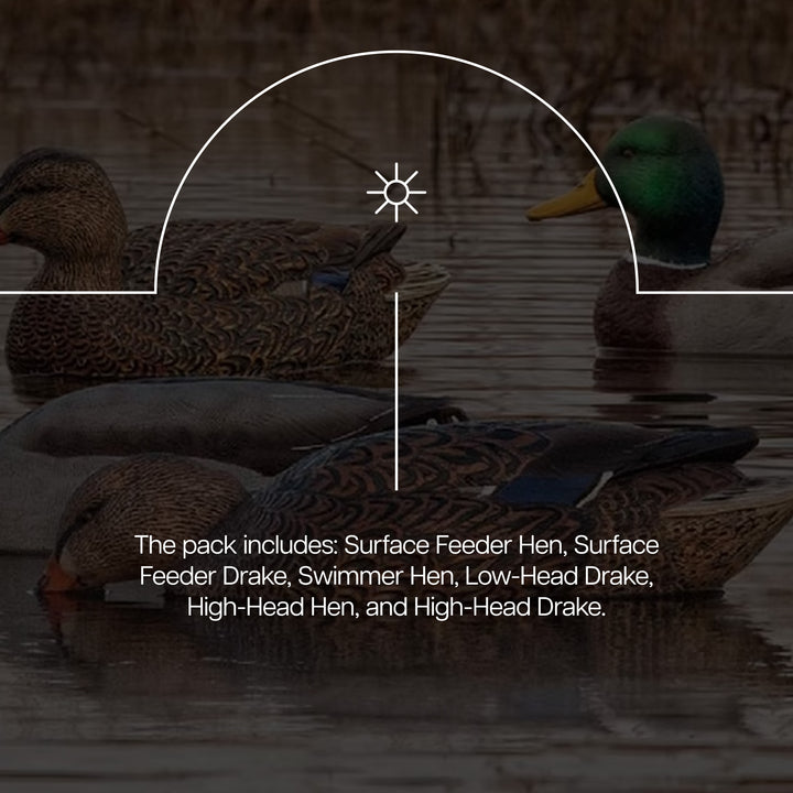 Avian X Topflight Realistic Floating Fusion Mallard Decoy Set, 6 Pack (Open Box)