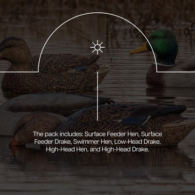 Avian X Topflight Realistic Floating Rugged Fusion Mallard Decoy Set, 6pk (Used) - VMInnovations