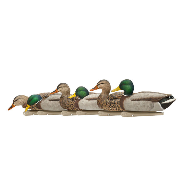 Avian X Topflight Realistic Floating Rugged Fusion Mallard Decoy Set, 6 Pack