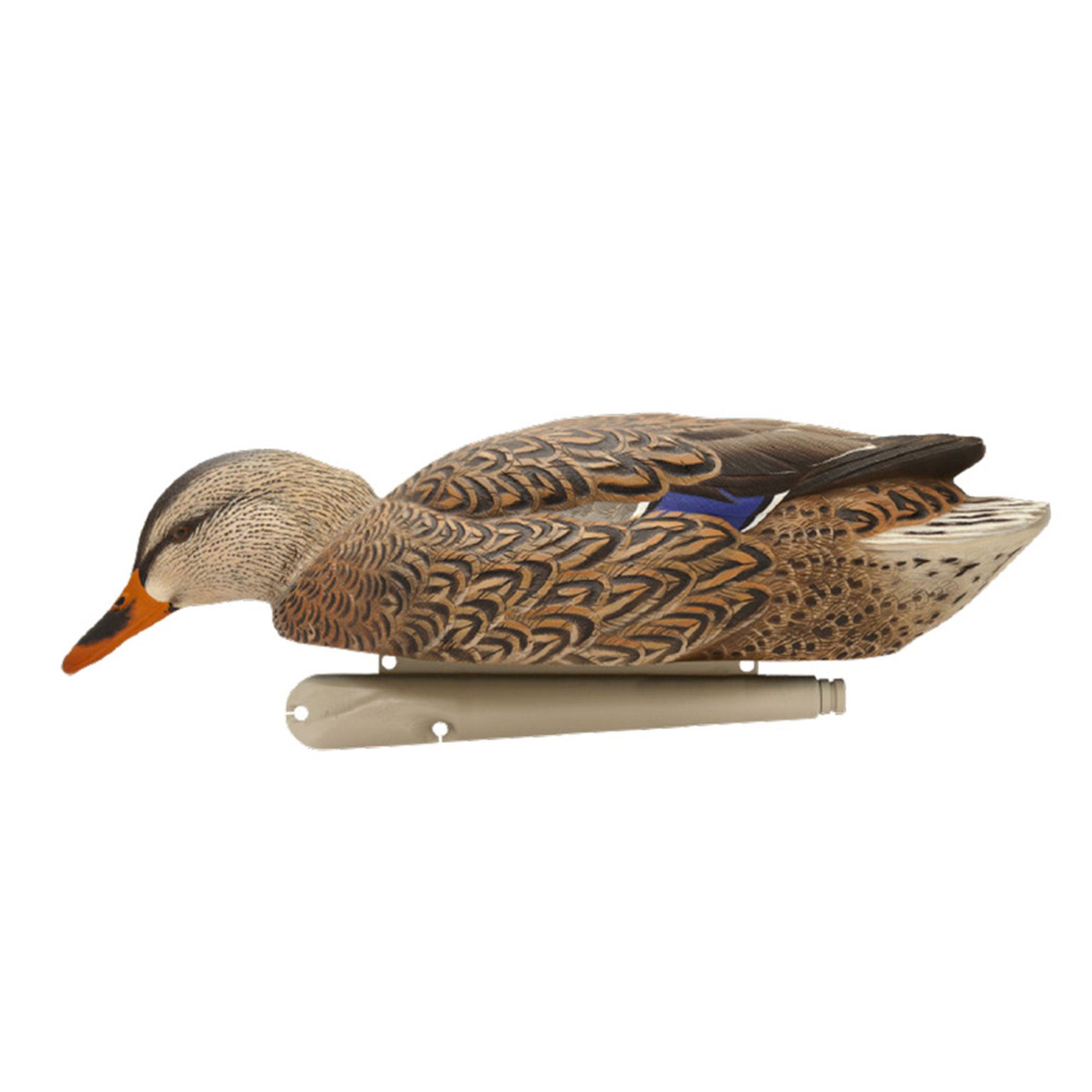 Avian X Topflight Realistic Floating Fusion Mallard Decoy Set, 6 Pack (Open Box) - VMInnovations