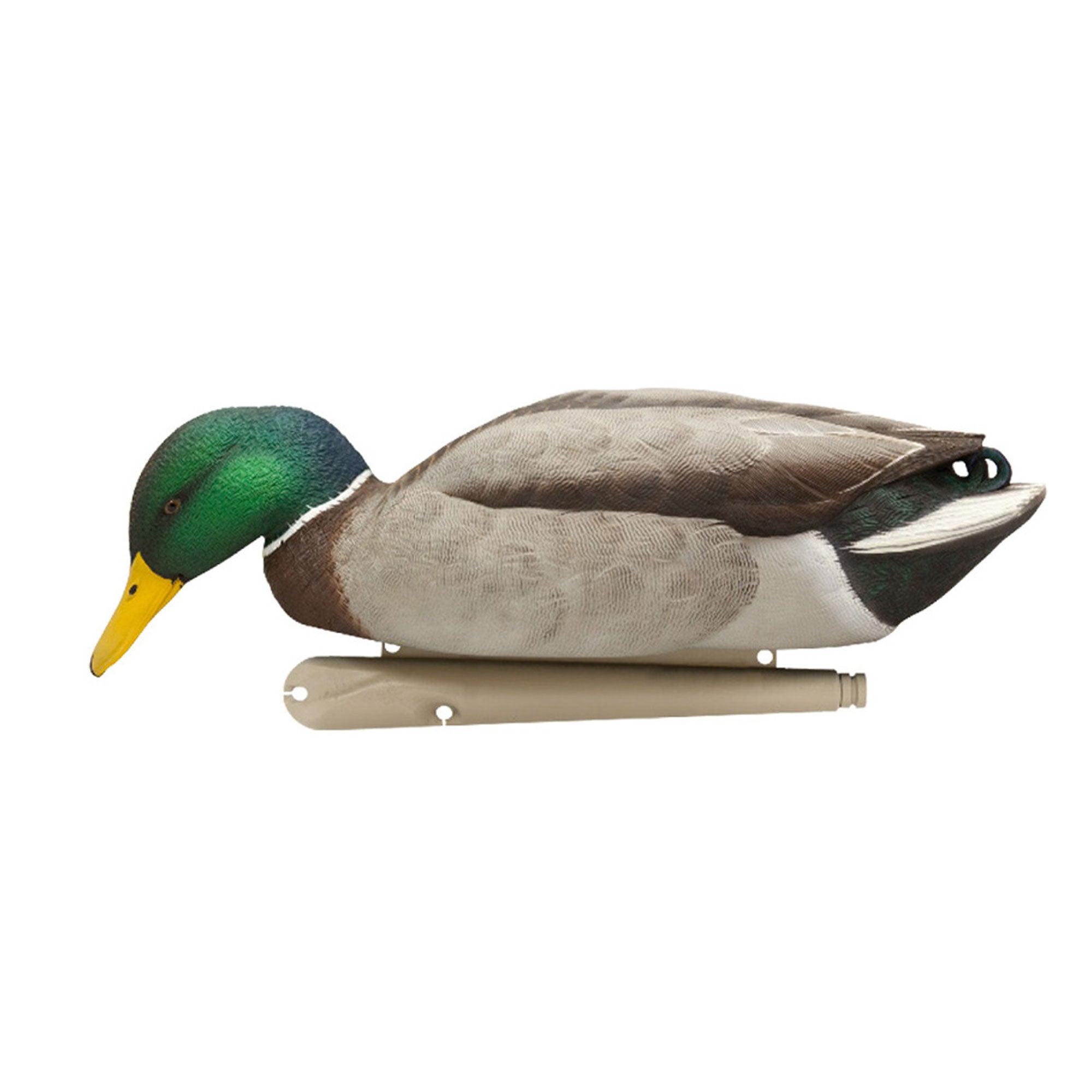 Avian X Topflight Realistic Floating Fusion Mallard Decoy Set, 6 Pack (Open Box) - VMInnovations