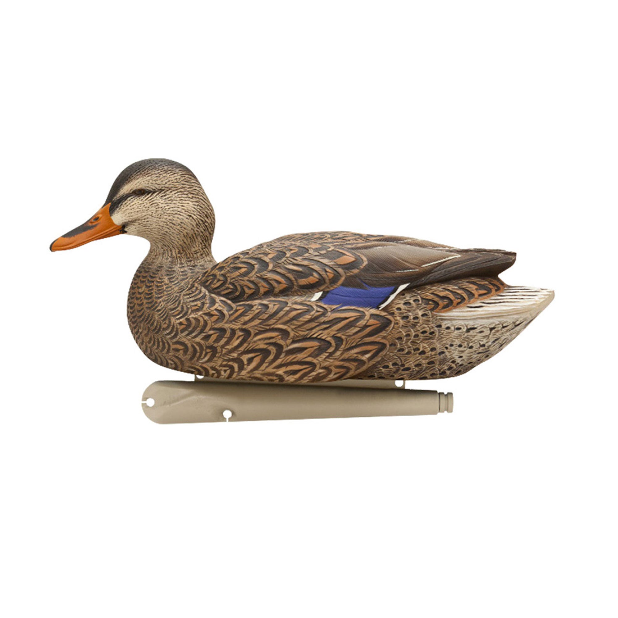 Avian X Topflight Realistic Floating Fusion Mallard Decoy Set, 6 Pack (Open Box) - VMInnovations